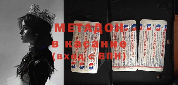 прущие грибы Алексеевка