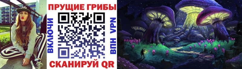 Псилоцибиновые грибы мицелий  где продают наркотики  Петушки 